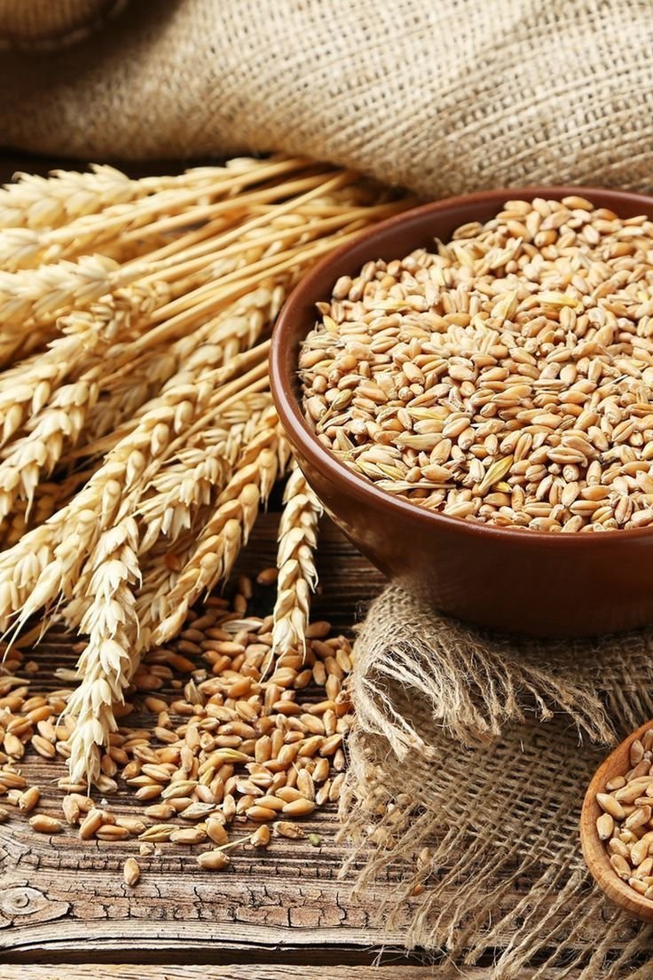 Wheat