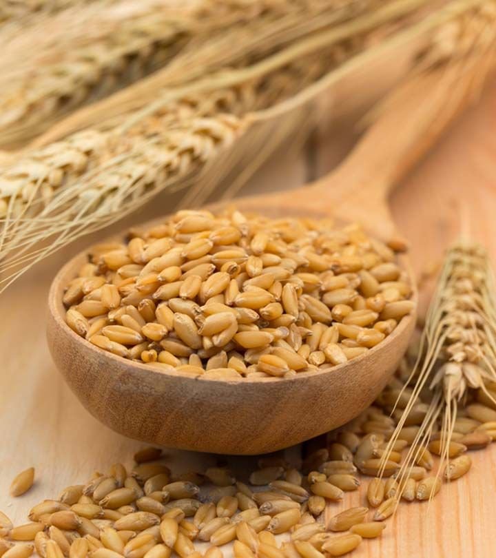 Barley