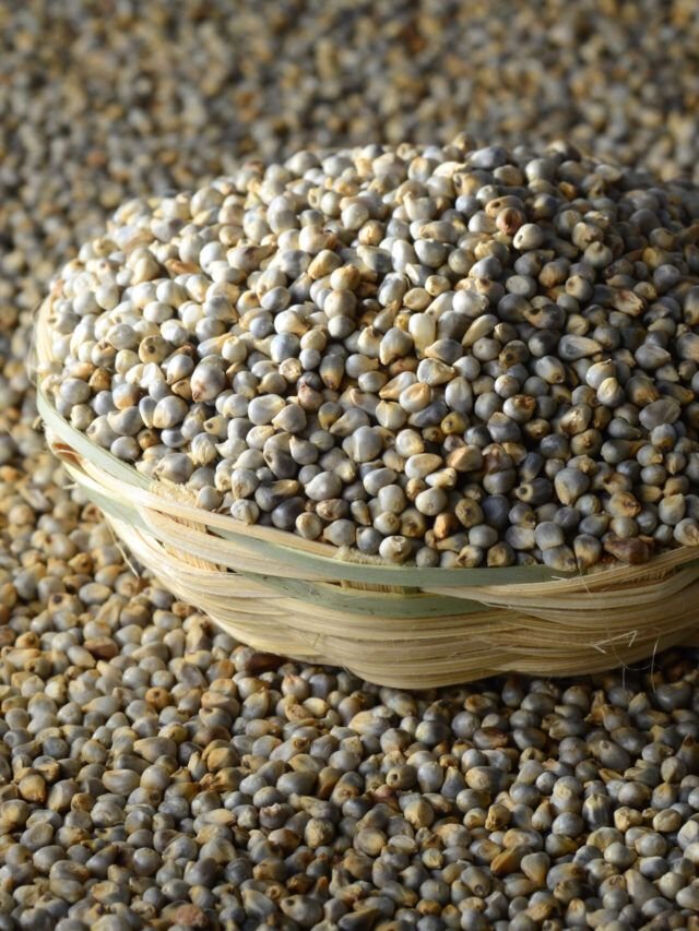 Millet (Bajra)