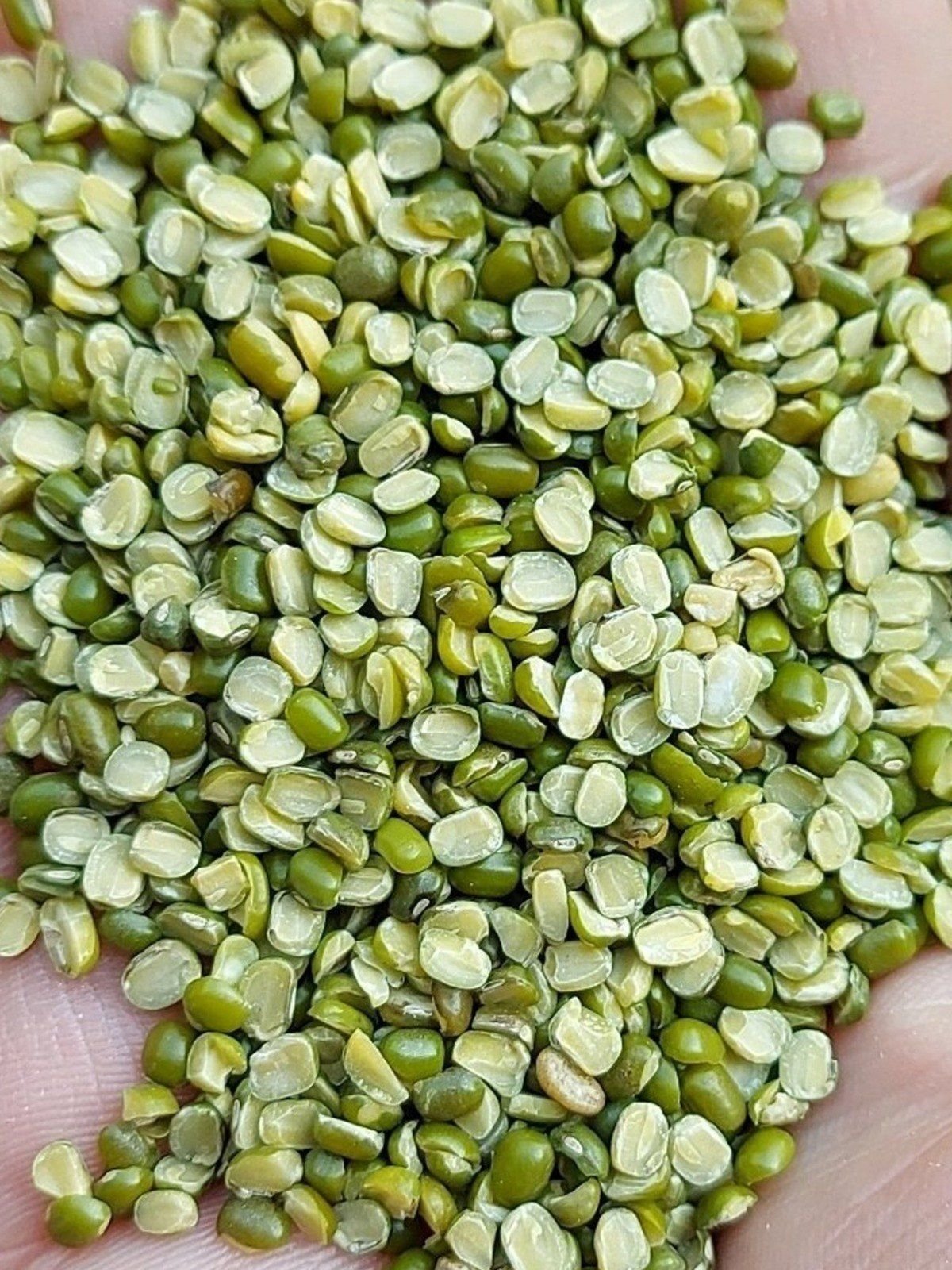 Green Gram (Moong)