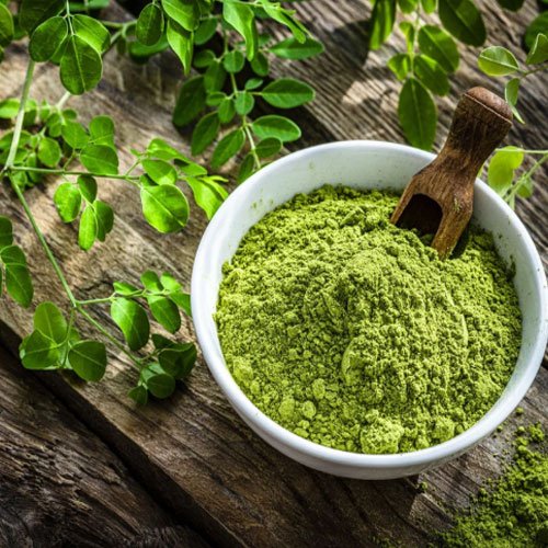 Moringa Powder